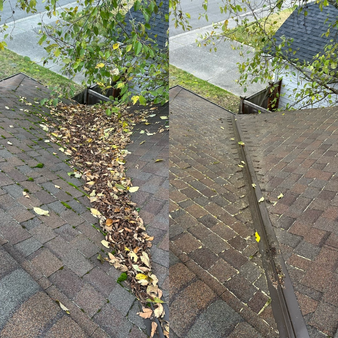 Professional roof cleaning service removing moss and grime from shingles