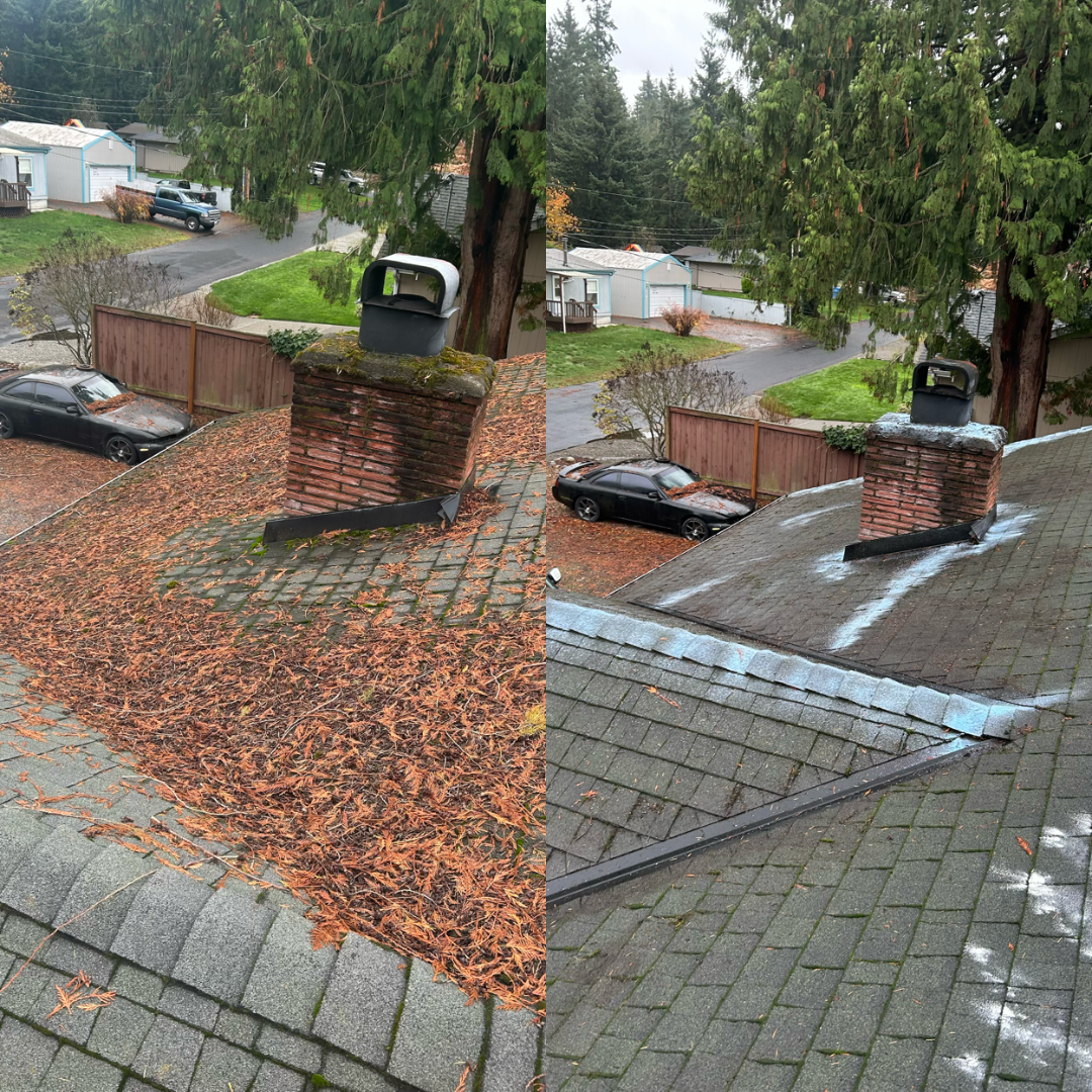 Pressure Wash – Artifact 2 cleaning at Bellevue, WA