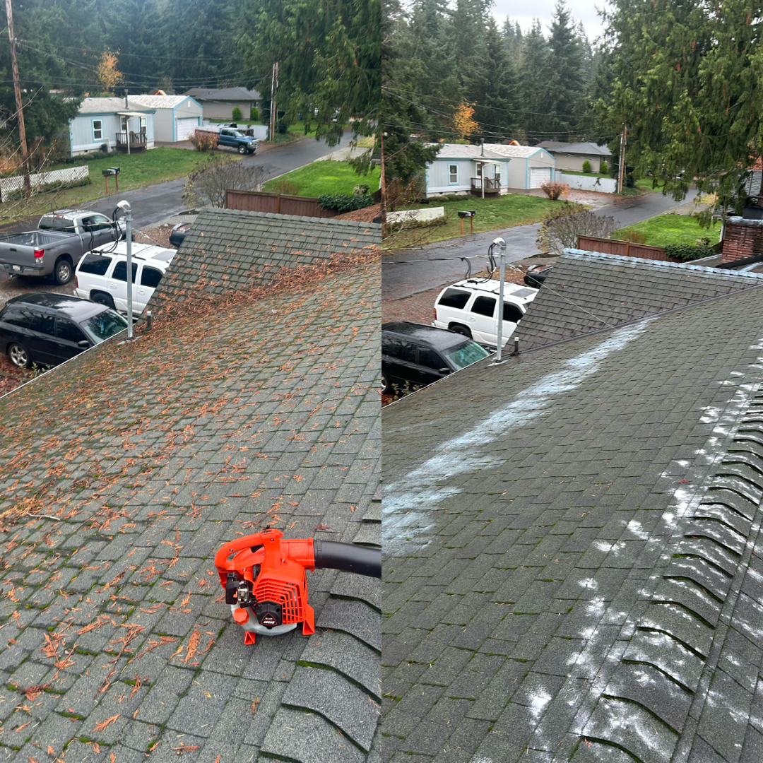 Pressure Wash – Artifact 1 cleaning at Seattle, WA