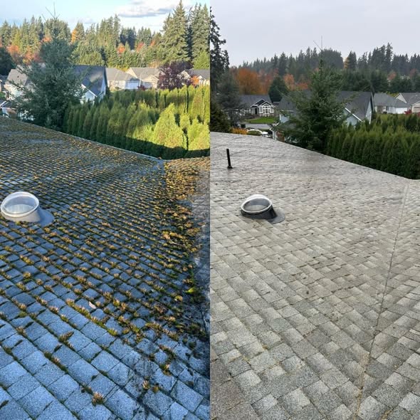 Pressure Wash – Artifact 4 cleaning at Renton, WA