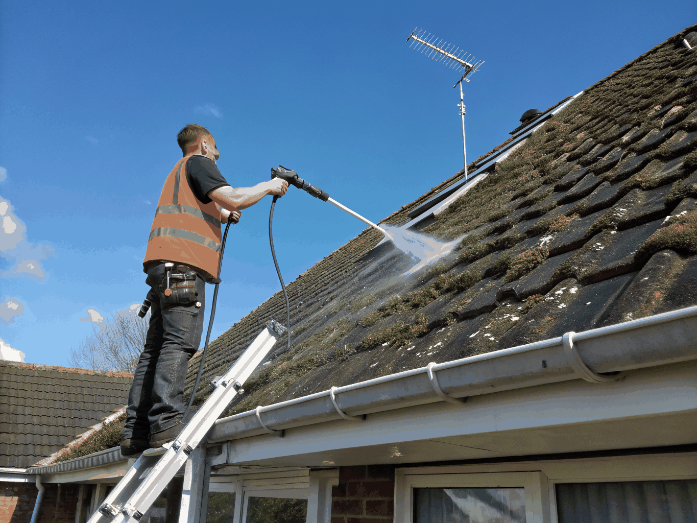 Dirt Dissolvers technician performing precision roof cleaning with professional equipment