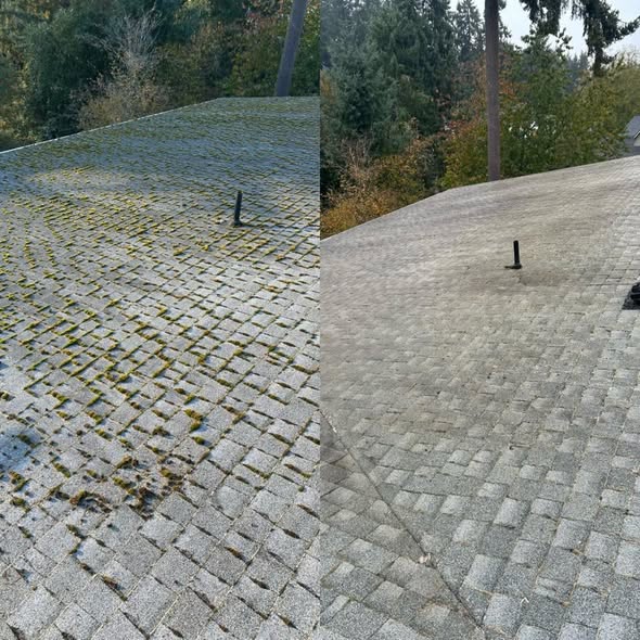 Pressure Wash – Artifact 3 cleaning at Tacoma, WA